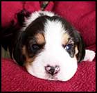 Boy 2 wk2